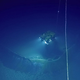 Foto: Nautilus Expedition.